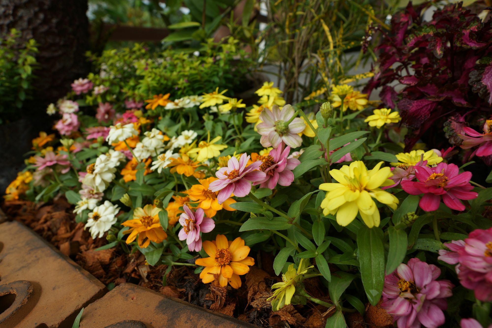 บ้านปลายฝัน Baanplaifun Ban Huai Phai Ngoại thất bức ảnh