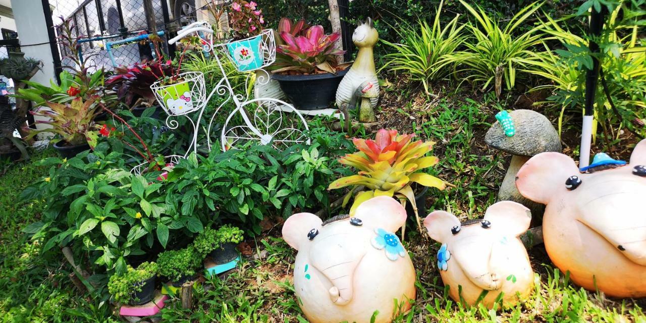 บ้านปลายฝัน Baanplaifun Ban Huai Phai Ngoại thất bức ảnh